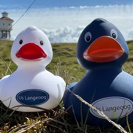 Inselschatz 아파트 *